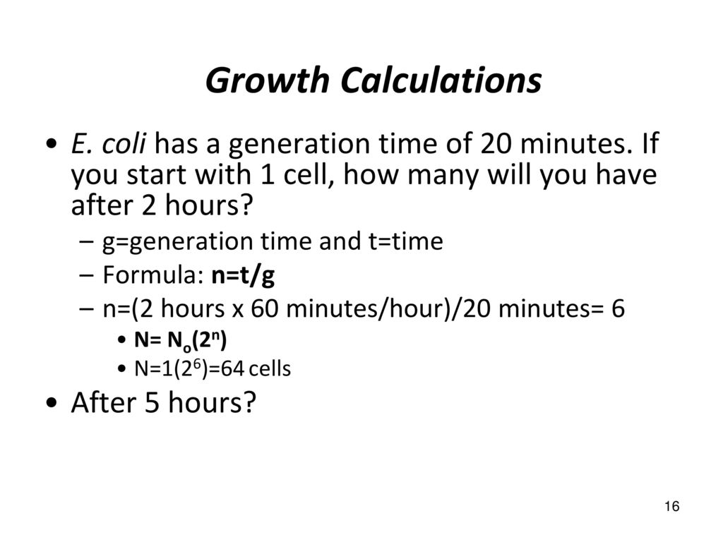 Bacterial Growth. - ppt download
