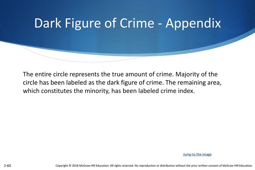Dark Figure of Crime - Appendix