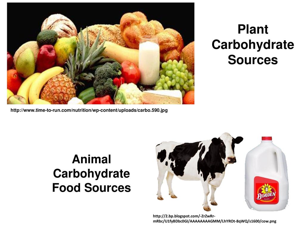 The Carbohydrates: Sugar, Starch and Fiber Module ppt download