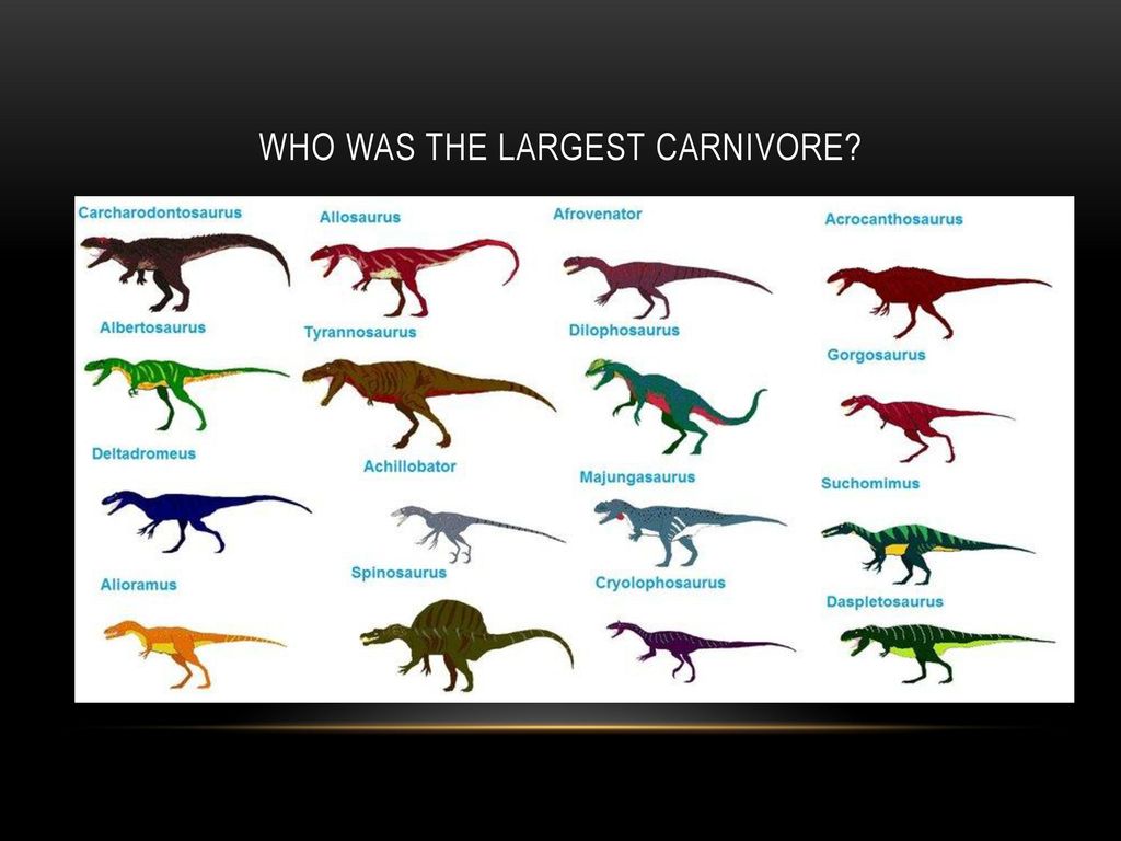 Нептичьи динозавры виды. Виды динозавров. Динозавры и их названия. Хищные динозавры названия. Название всех динозавров.