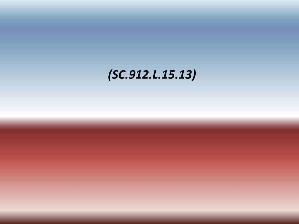 Benchmark Review Questions Focus I - ppt download
