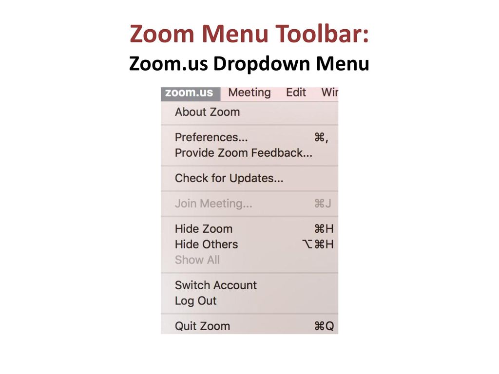 Zoom Menu Toolbar: Zoom.us Dropdown Menu