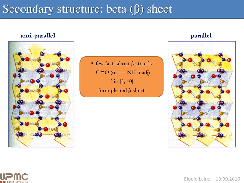 Structural Bioinformatics Ppt Download