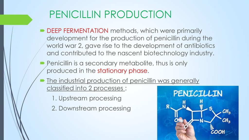 PRODUCTION OF PENICILLIN - ppt download