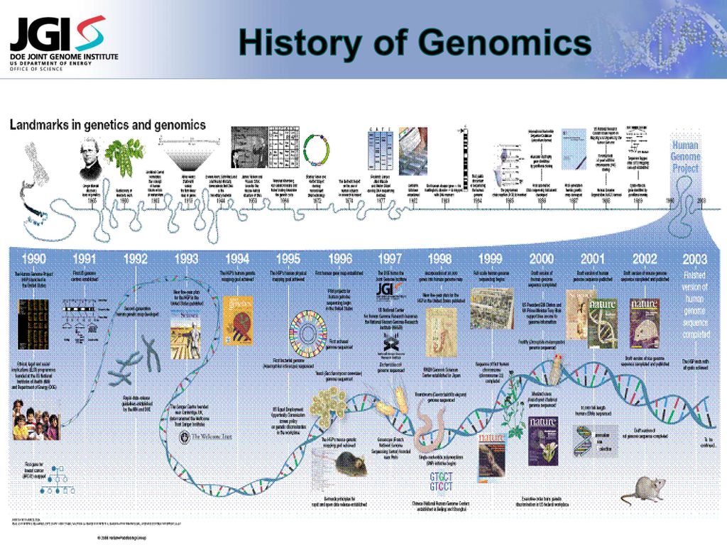 Evolution of Microbial Genomics - ppt download