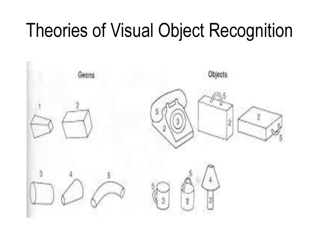 Recognizing visual and auditory stimuli ppt download
