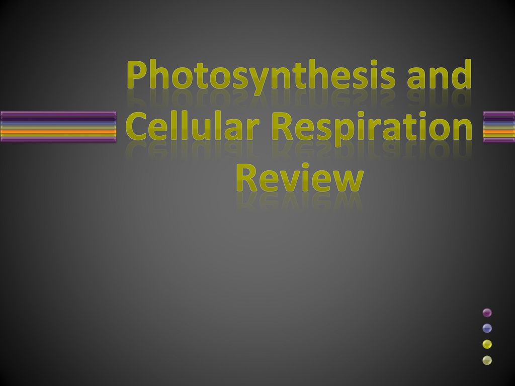 Photosynthesis and Cellular Respiration Review - ppt download