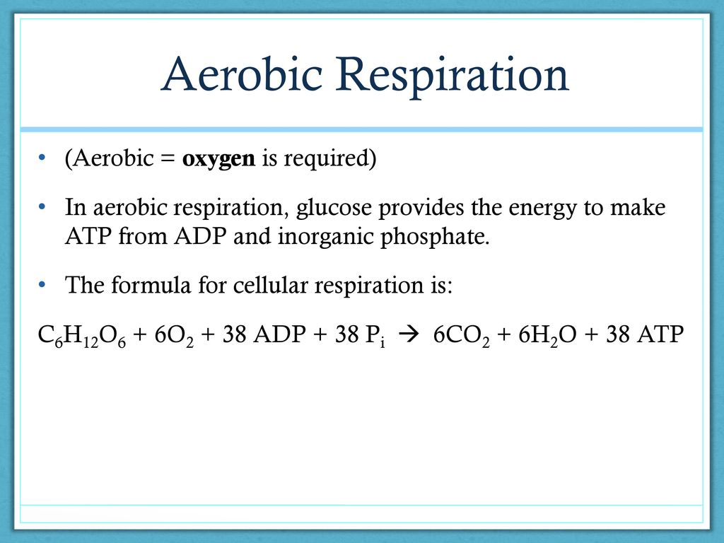 Aerobic Respiration (Aerobic = oxygen is required)
