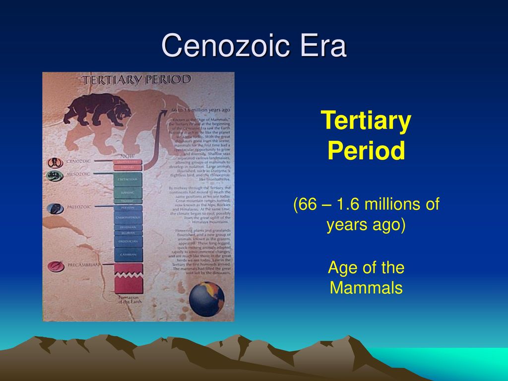 Thanksgiving Point Dinosaur Museum – Cenozic Era - ppt download