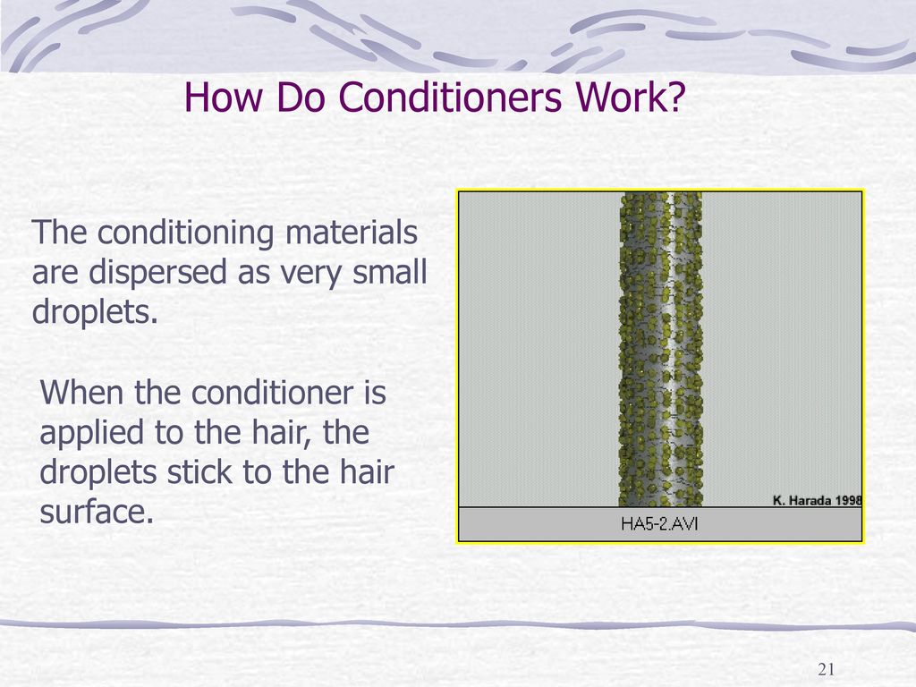 Hair Health & Conditioners - ppt download