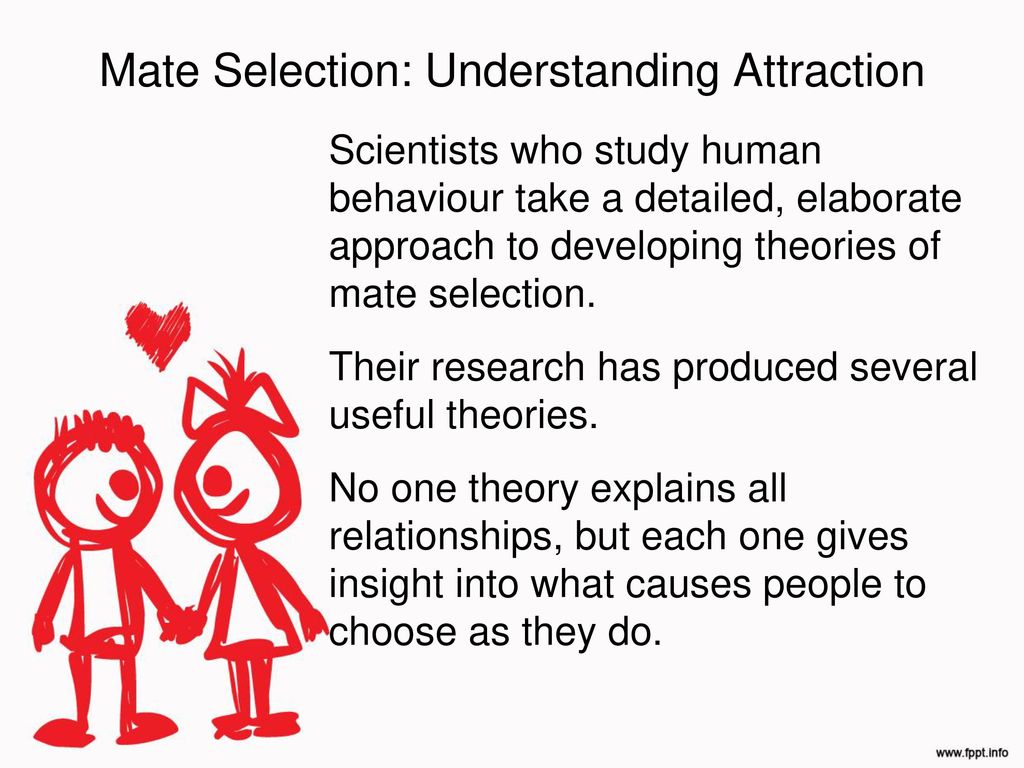 Theories of Mate Selection - ppt download