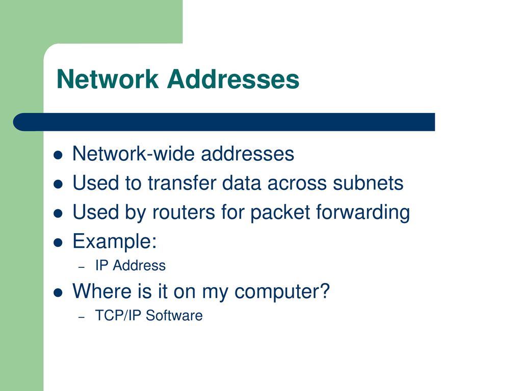 Network Addresses Network-wide addresses