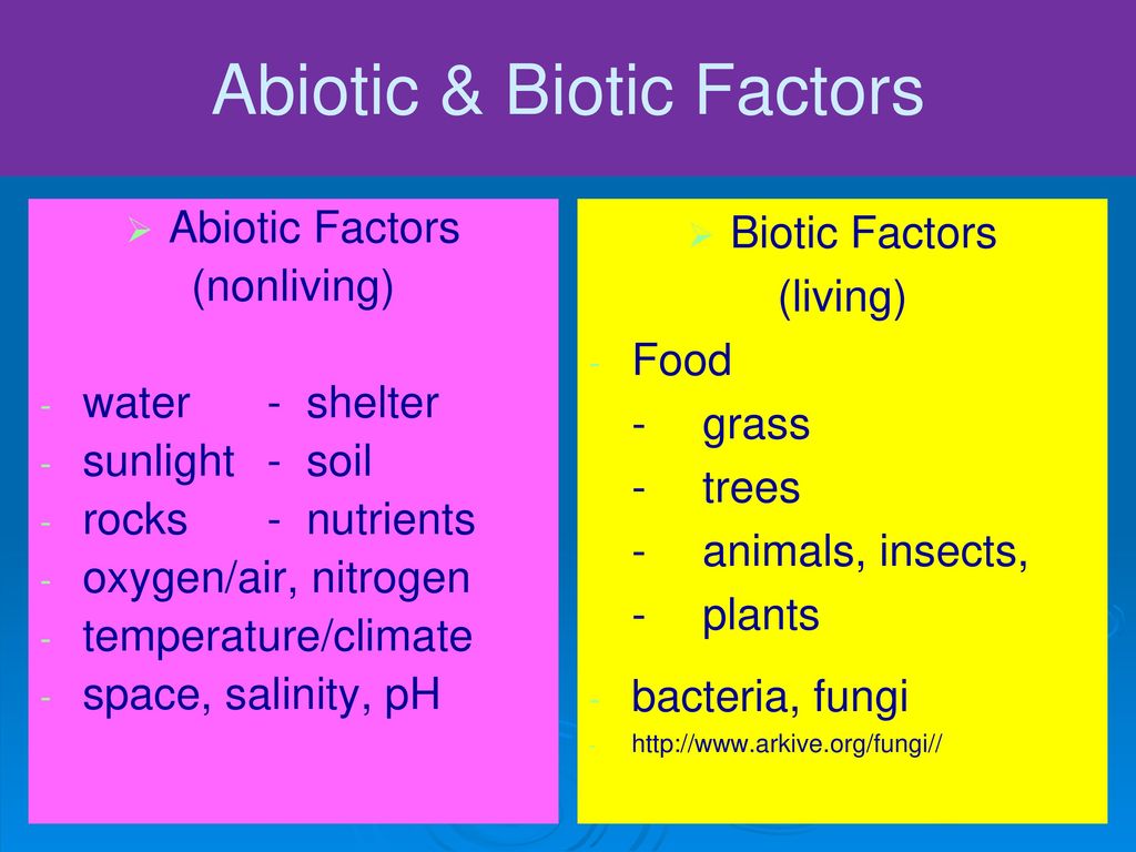 Abiotic factor вики