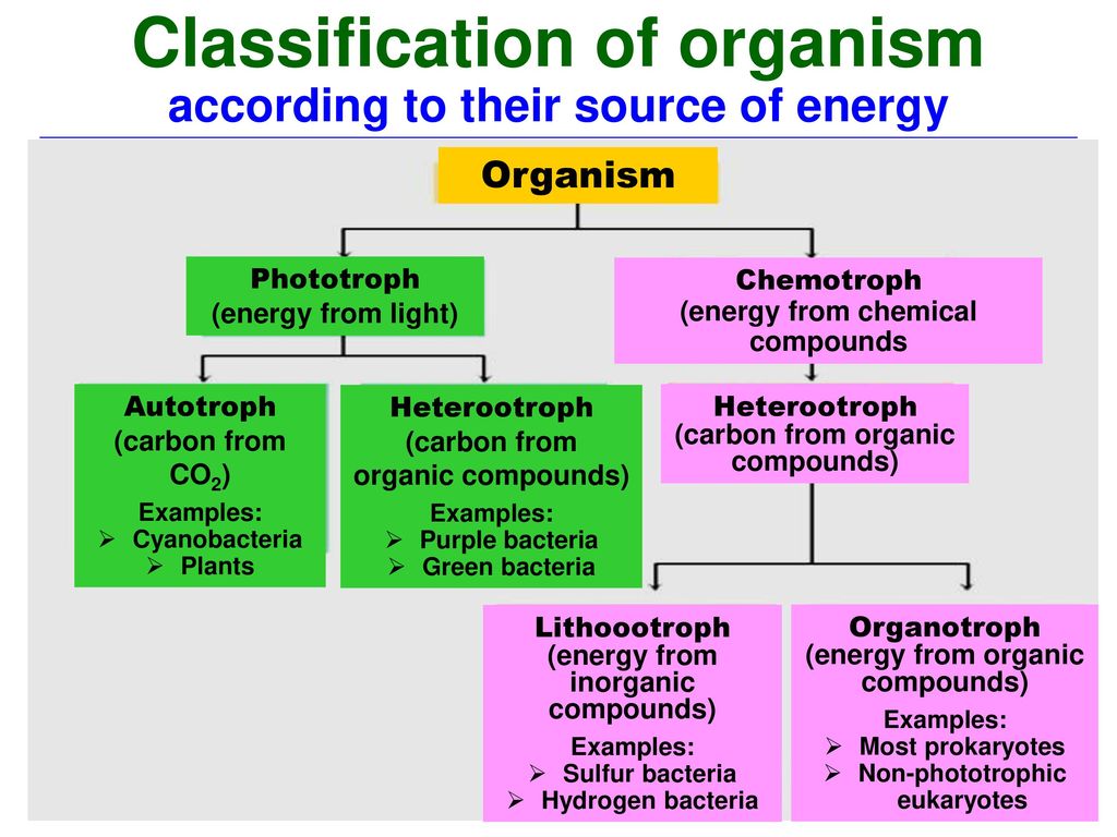 According. Inorganic Compounds. Inorganic Compounds classification. Classification of Organic Compounds. Inorganic Compounds примеры.
