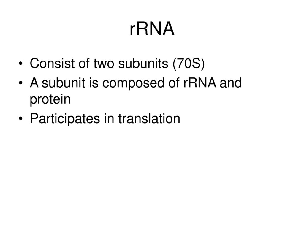 rRNA Consist of two subunits (70S)