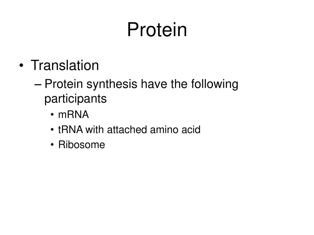 Protein Translation Protein synthesis have the following participants