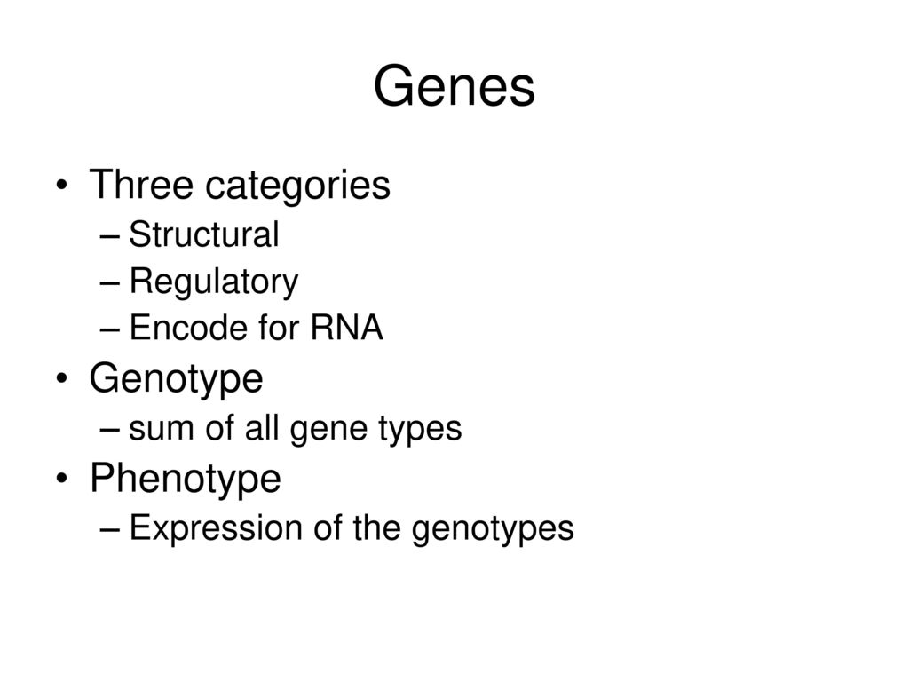 Genes Three categories Genotype Phenotype Structural Regulatory