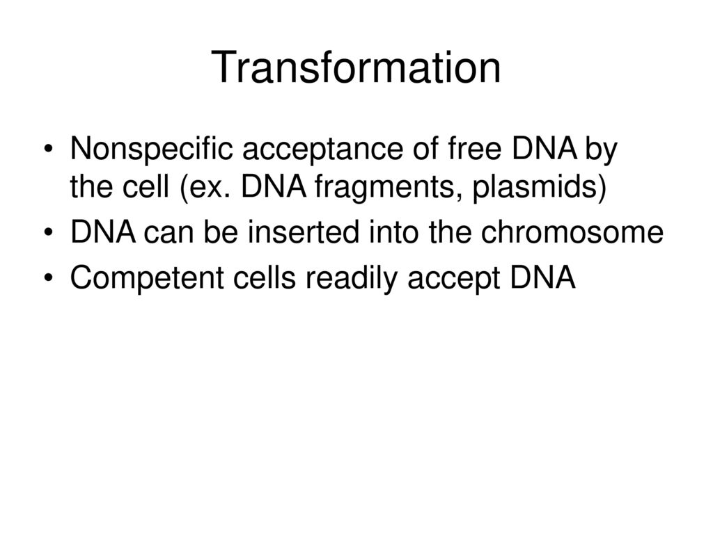 Transformation Nonspecific acceptance of free DNA by the cell (ex. DNA fragments, plasmids) DNA can be inserted into the chromosome.