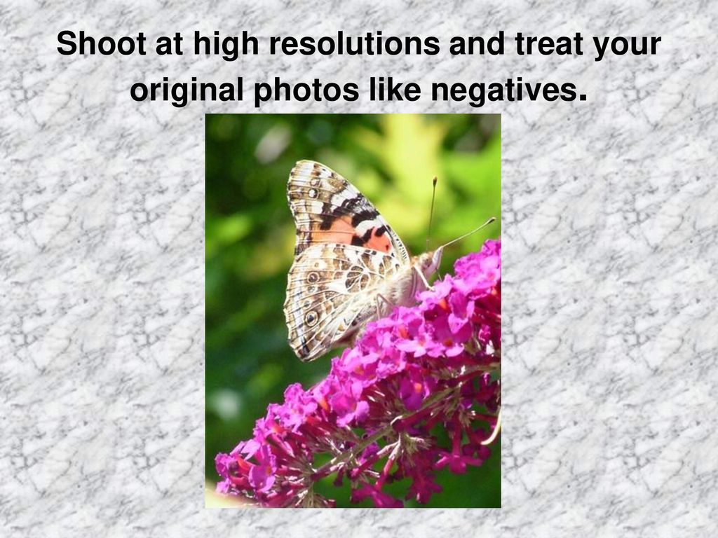 Shoot at high resolutions and treat your original photos like negatives.