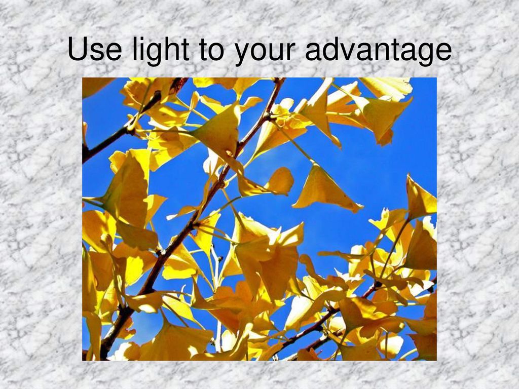 Use light to your advantage