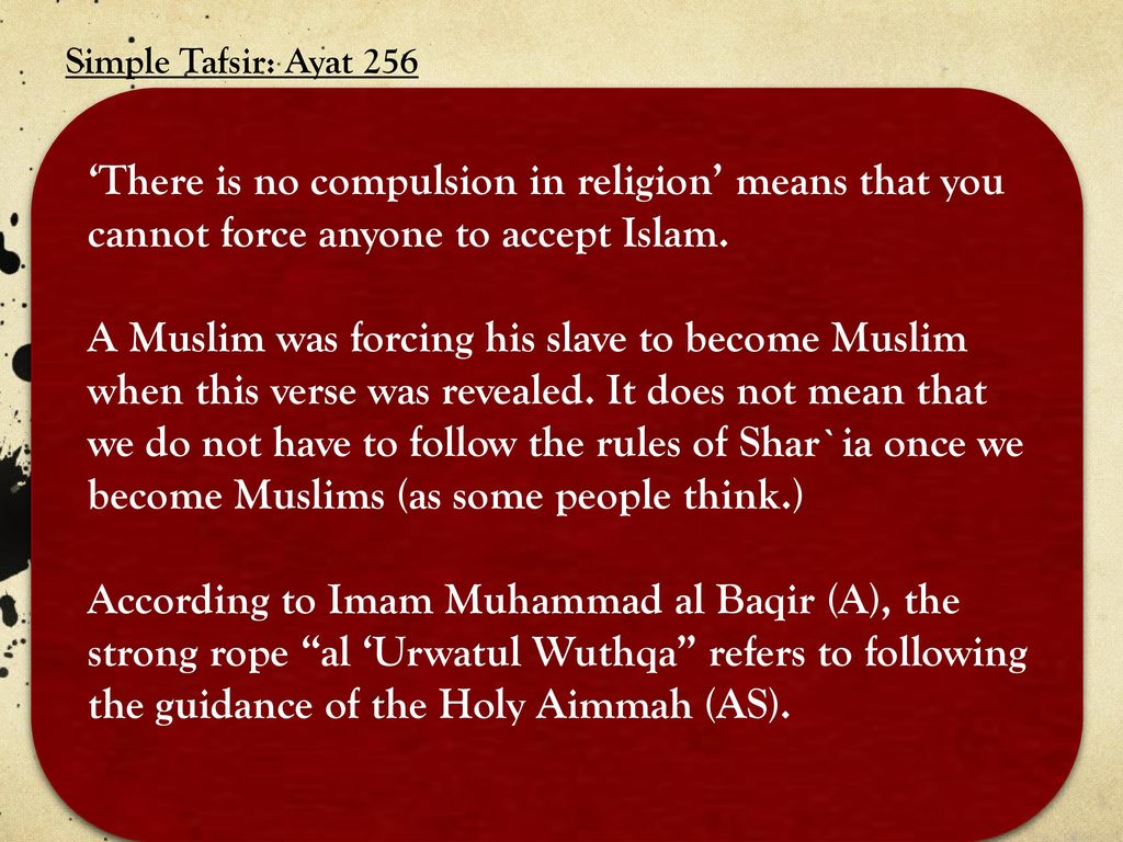 Special Verses In The Holy Quran Ppt Download