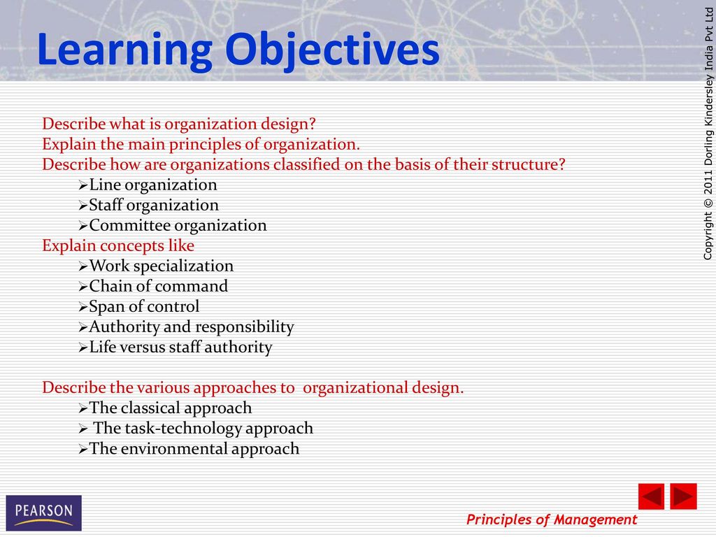 Management Staff Organization Chart