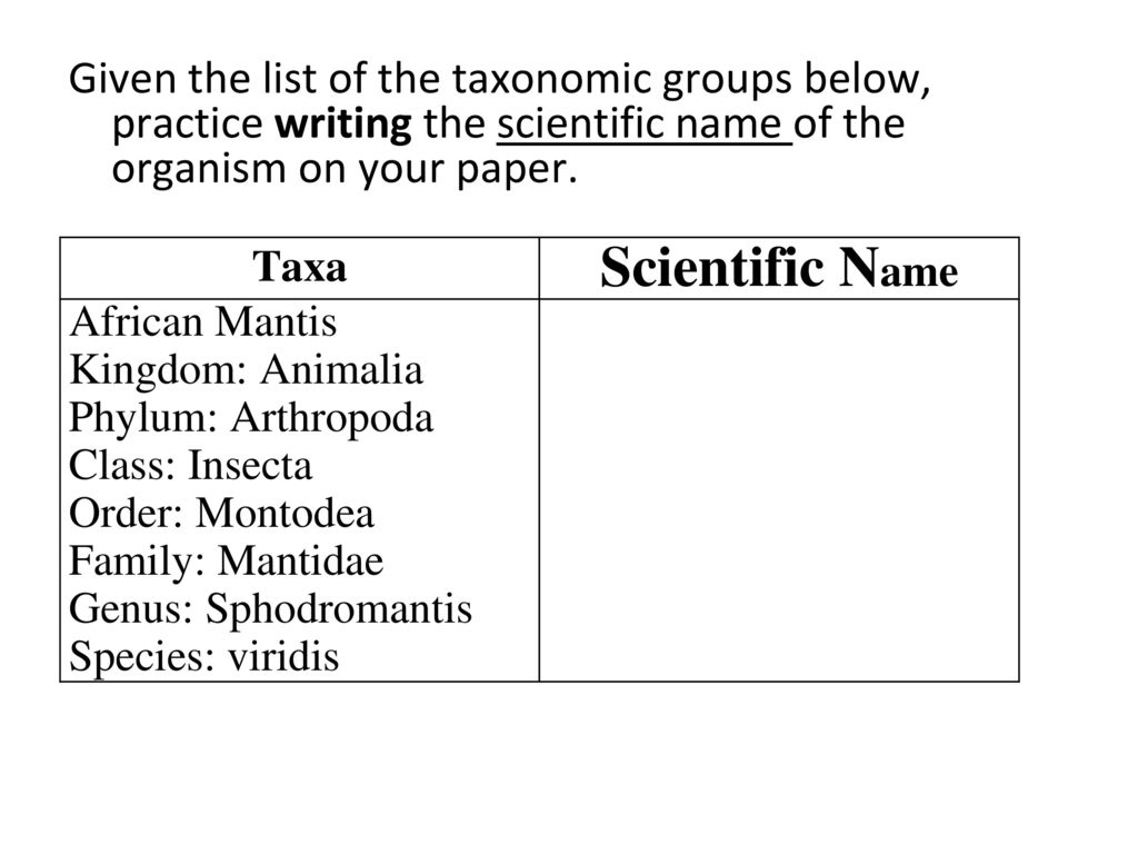 Taxonomy & Kingdoms STAAR Review - ppt download