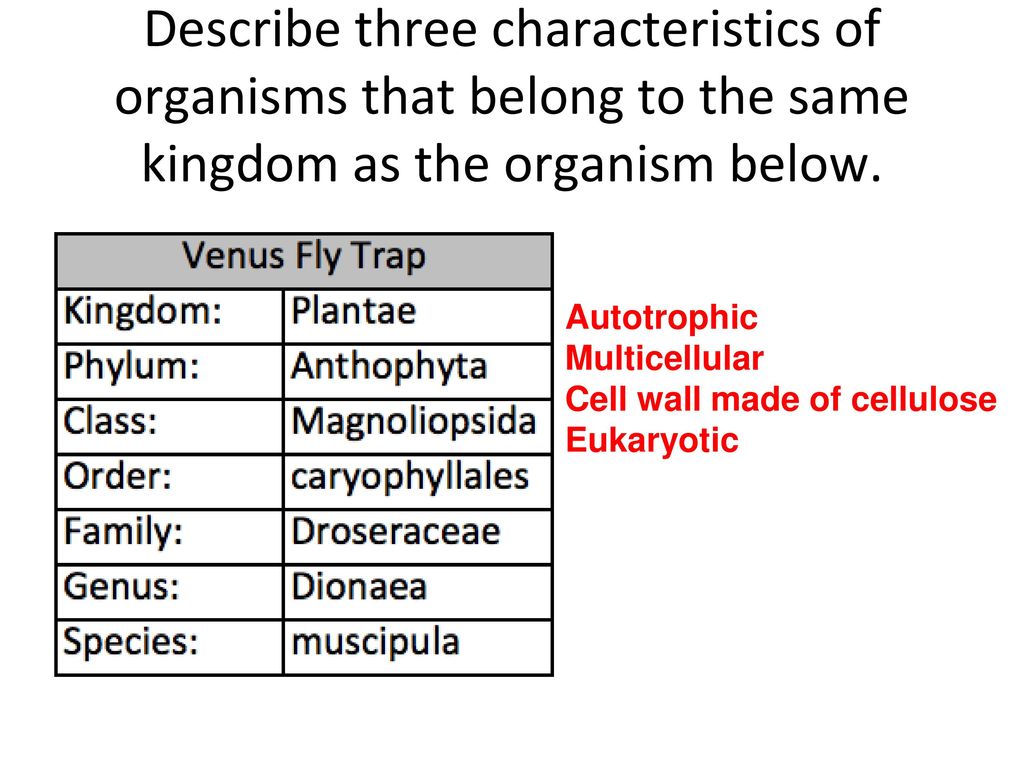 Venus Fly Trap Classification Chart