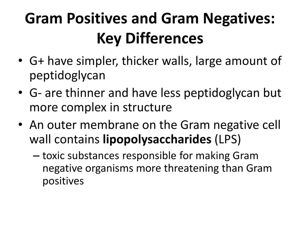 Gram Positives and Gram Negatives: Key Differences