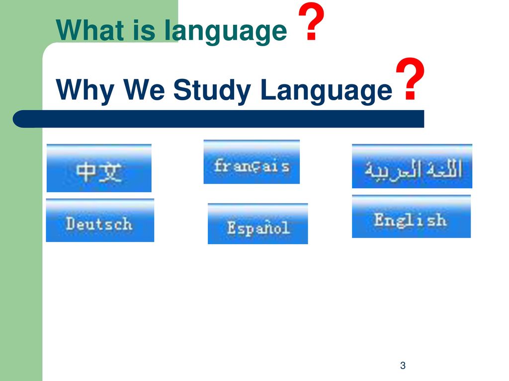 What is language Why We Study Language
