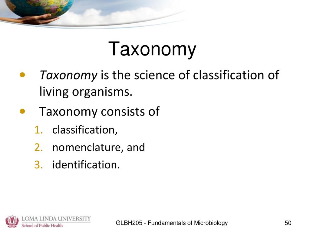 Cell Structure and Taxonomy Instructor: Bertha Escobar-Poni, MD - ppt ...
