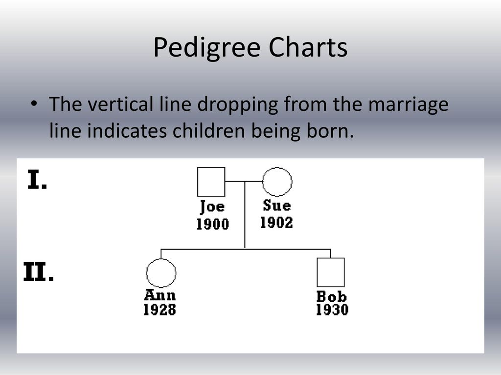 Drop Line Pedigree Chart