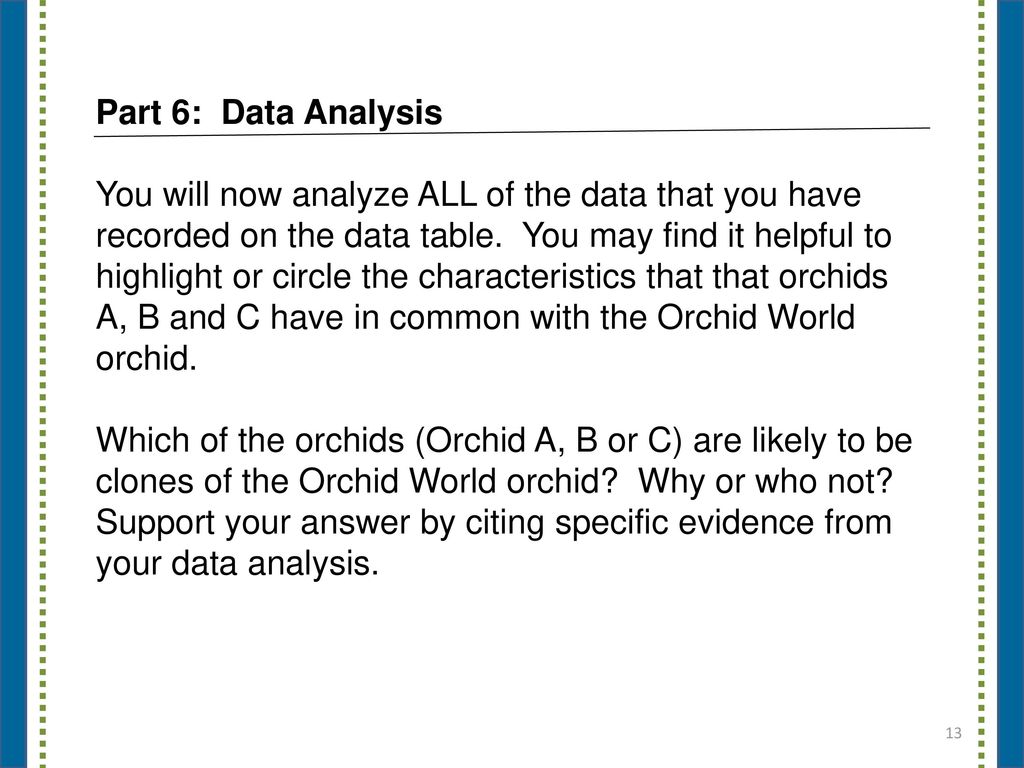Part 6: Data Analysis