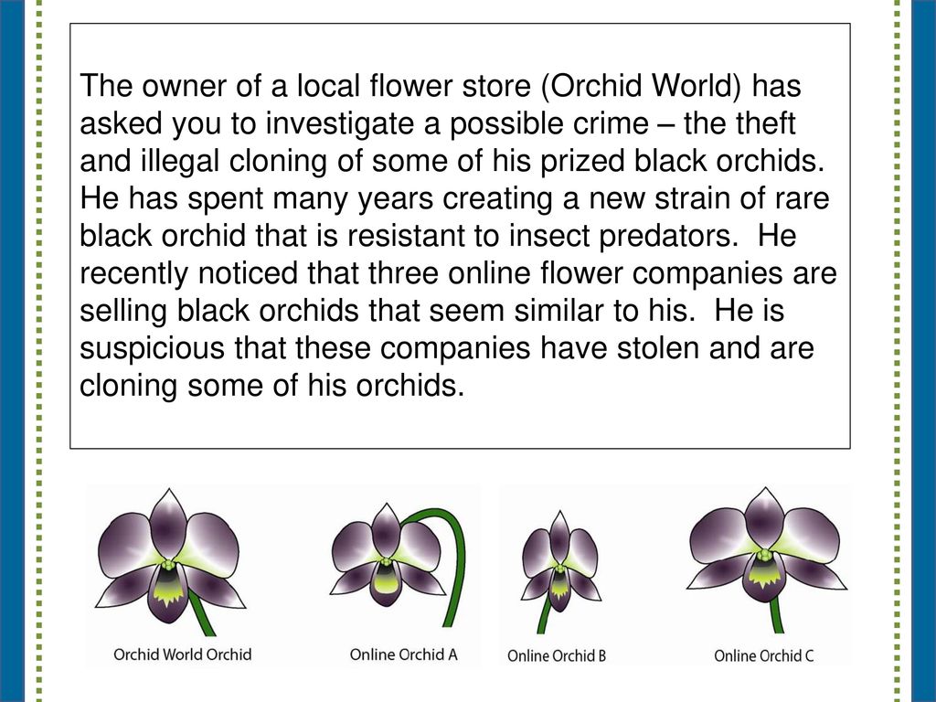 The owner of a local flower store (Orchid World) has asked you to investigate a possible crime – the theft and illegal cloning of some of his prized black orchids. He has spent many years creating a new strain of rare black orchid that is resistant to insect predators. He recently noticed that three online flower companies are selling black orchids that seem similar to his. He is suspicious that these companies have stolen and are cloning some of his orchids.