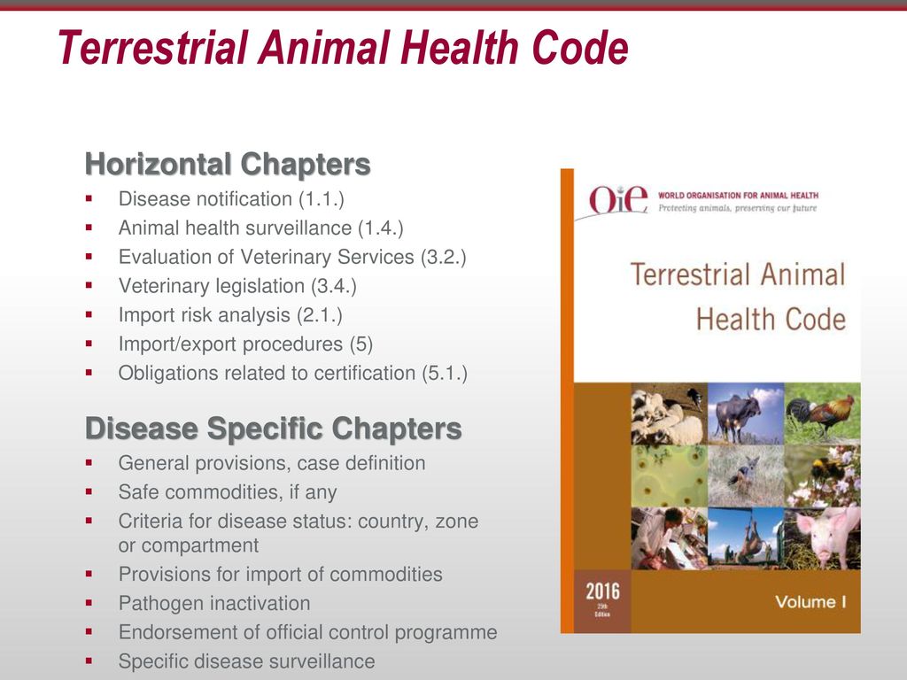General requirements of the FMD Terrestrial Animal Health Code Chapter -  ppt download