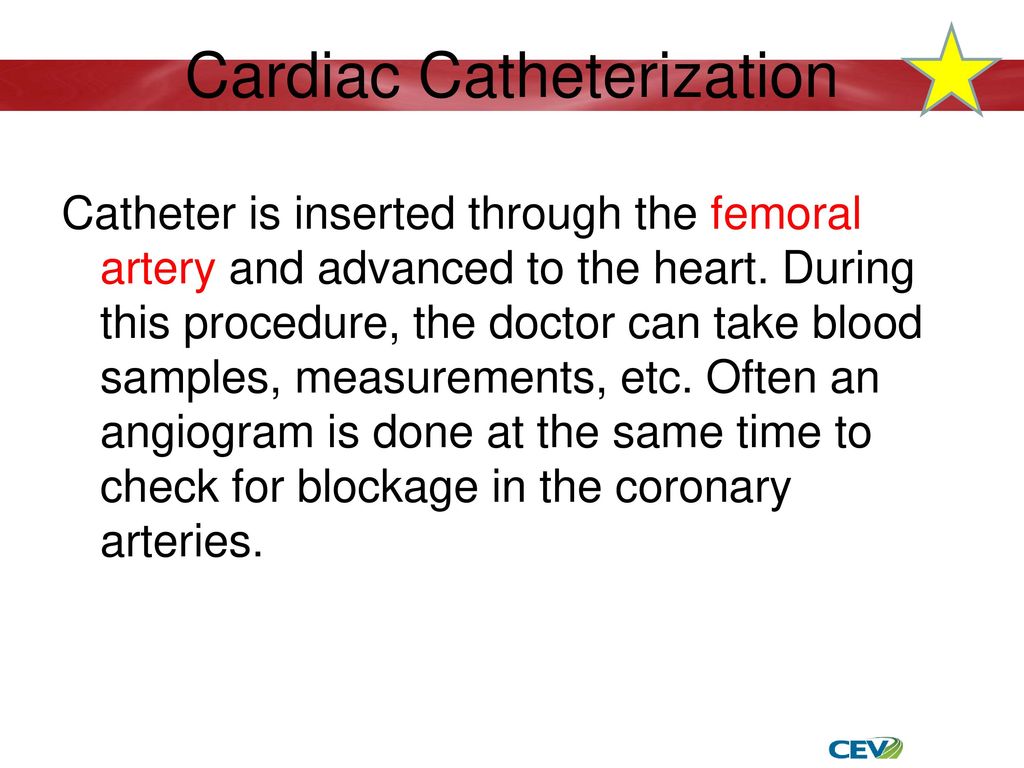 The Circulatory System. - Ppt Download