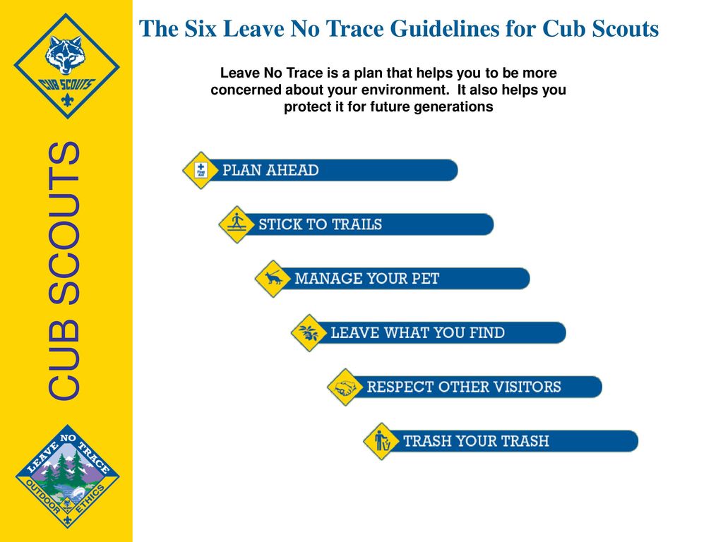 Training for Cub Scouts ppt download