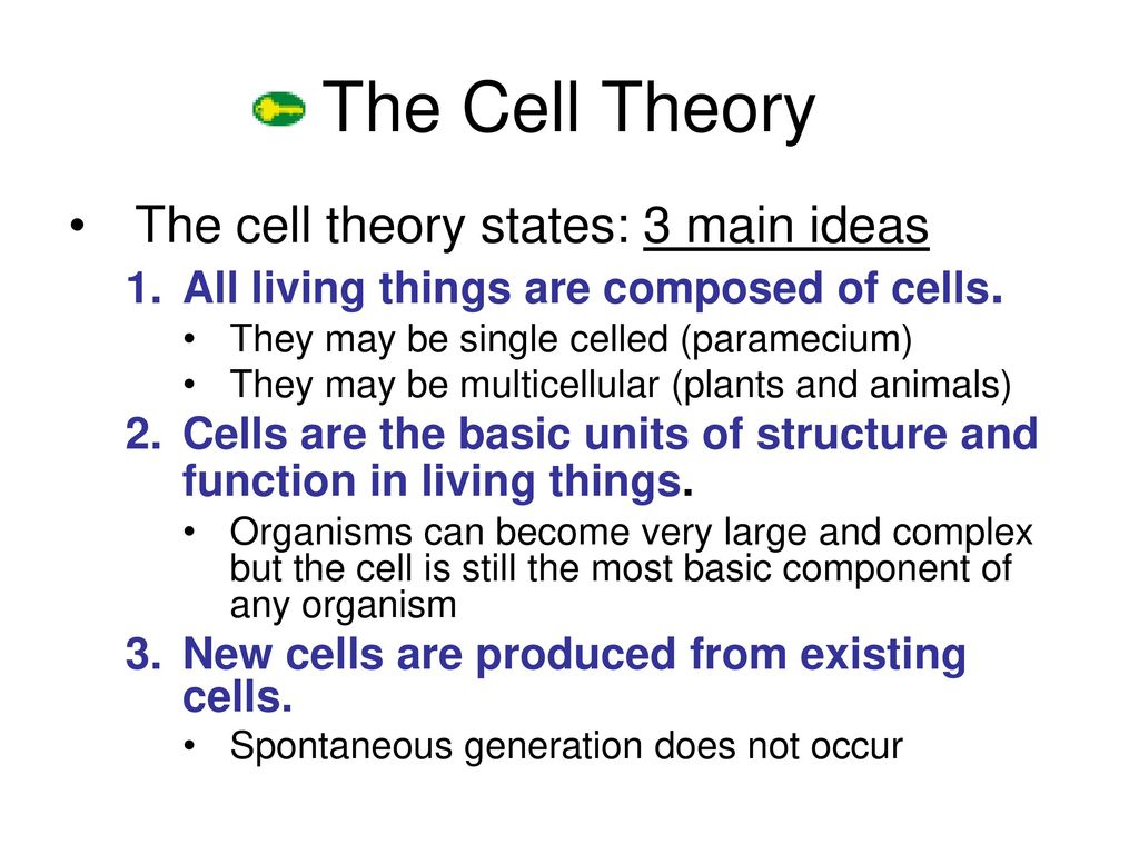 The Cell Theory The cell theory states: 3 main ideas