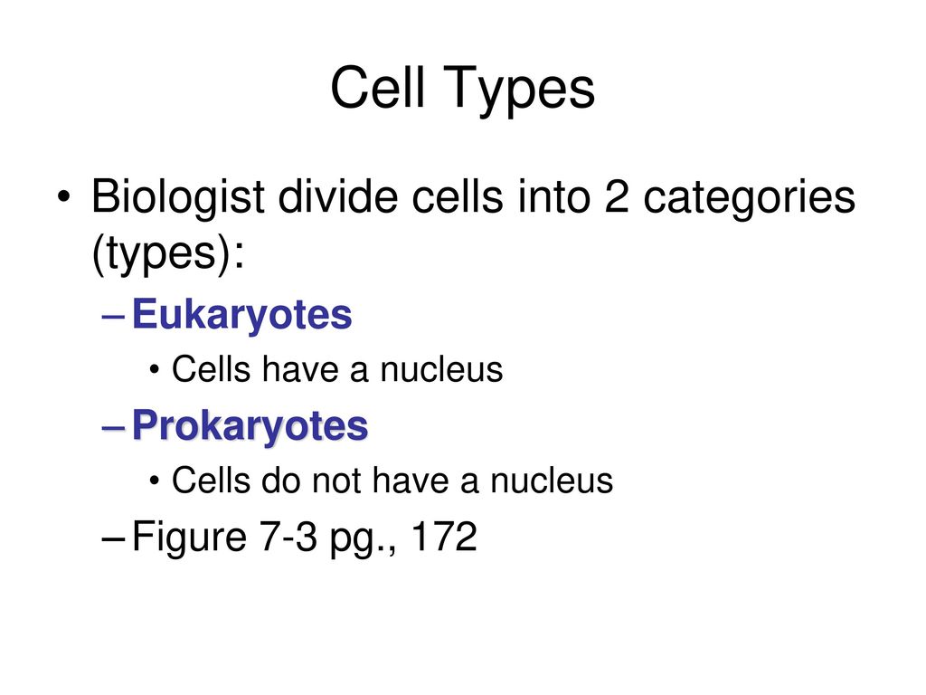 Cell Types Biologist divide cells into 2 categories (types):