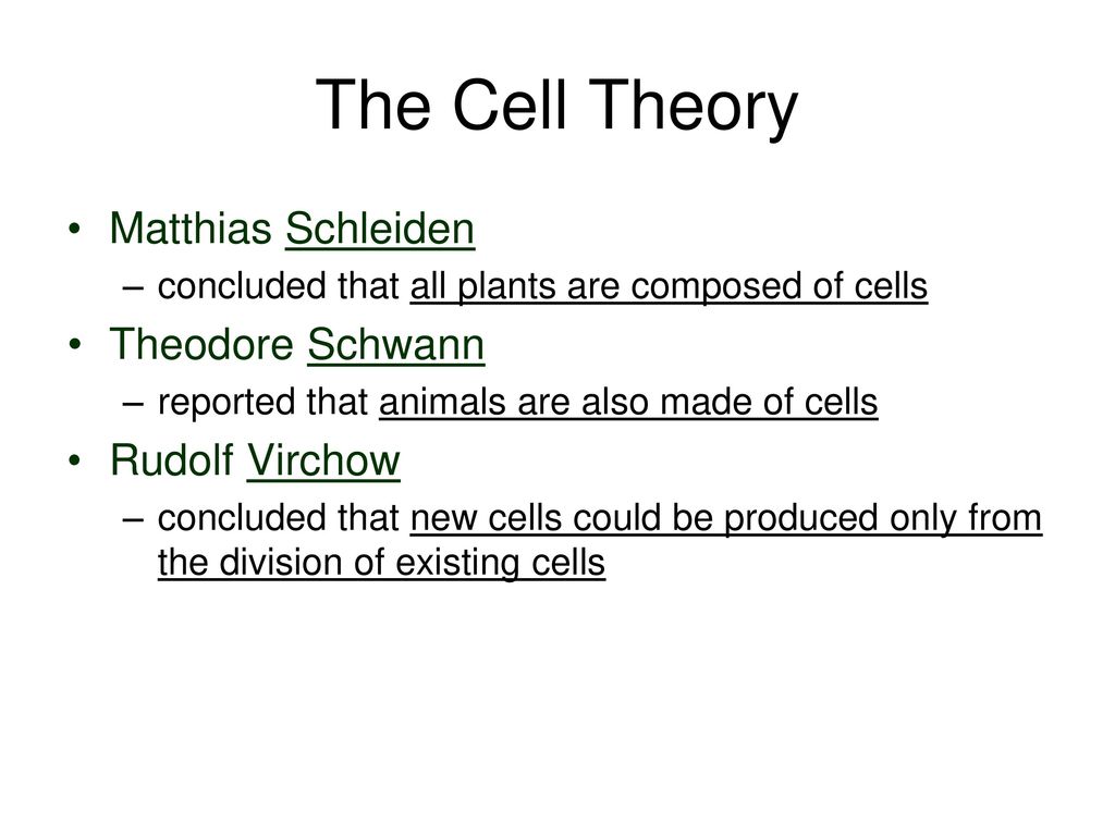The Cell Theory Matthias Schleiden Theodore Schwann Rudolf Virchow