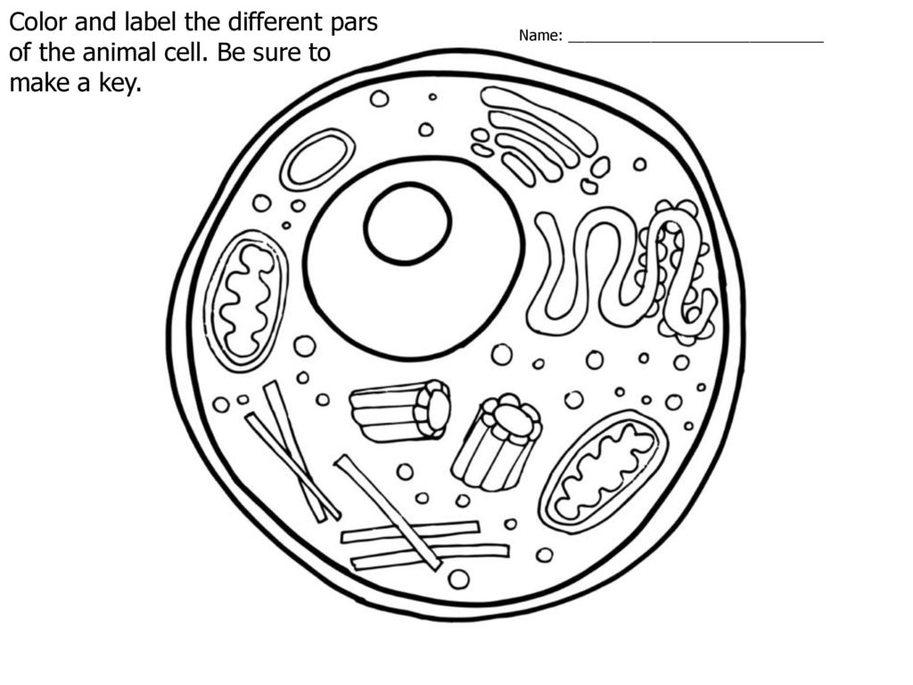 Unit C. Basic Principles of Agricultural/Horticultural ...