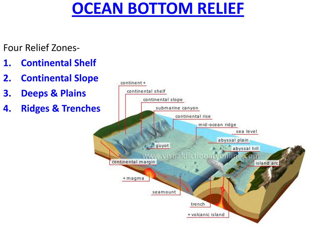 Ocean Bottom Relief Ppt Download
