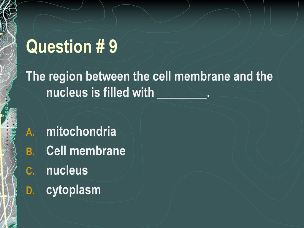 Question # 9 The region between the cell membrane and the nucleus is filled with ________. mitochondria.