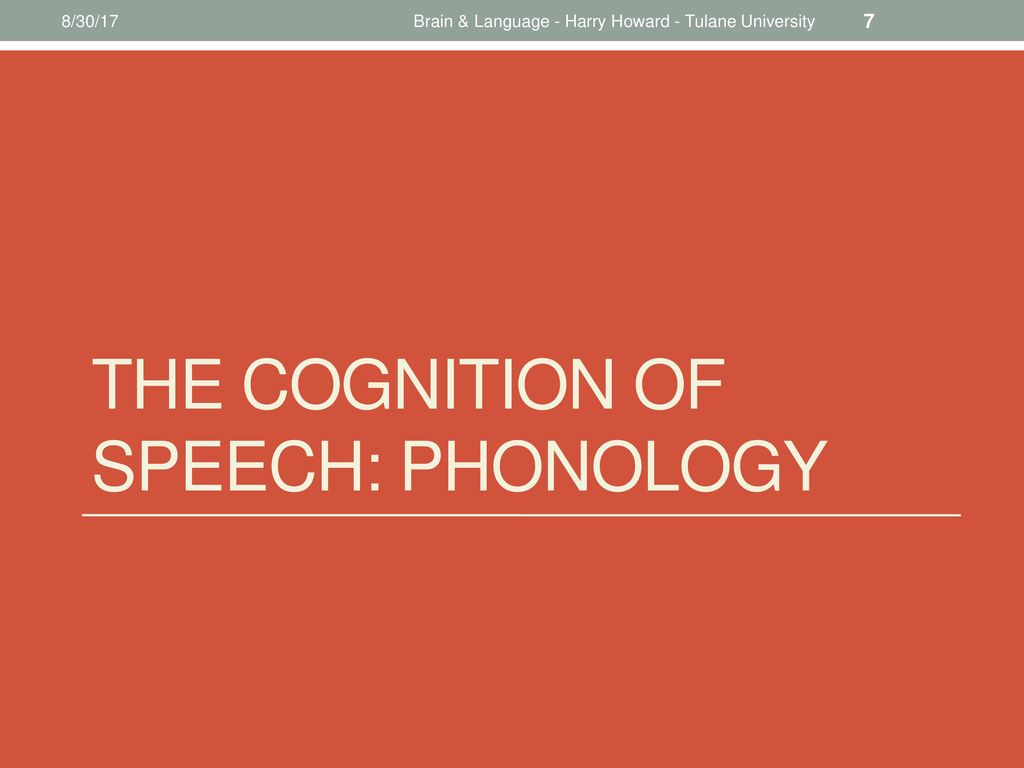 The cognition of speech: phonology