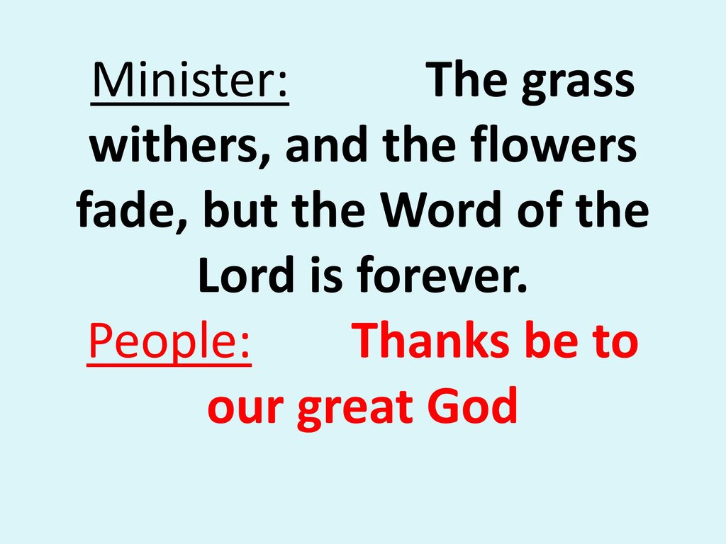 Minister: The grass withers, and the flowers fade, but the Word of the Lord is forever.