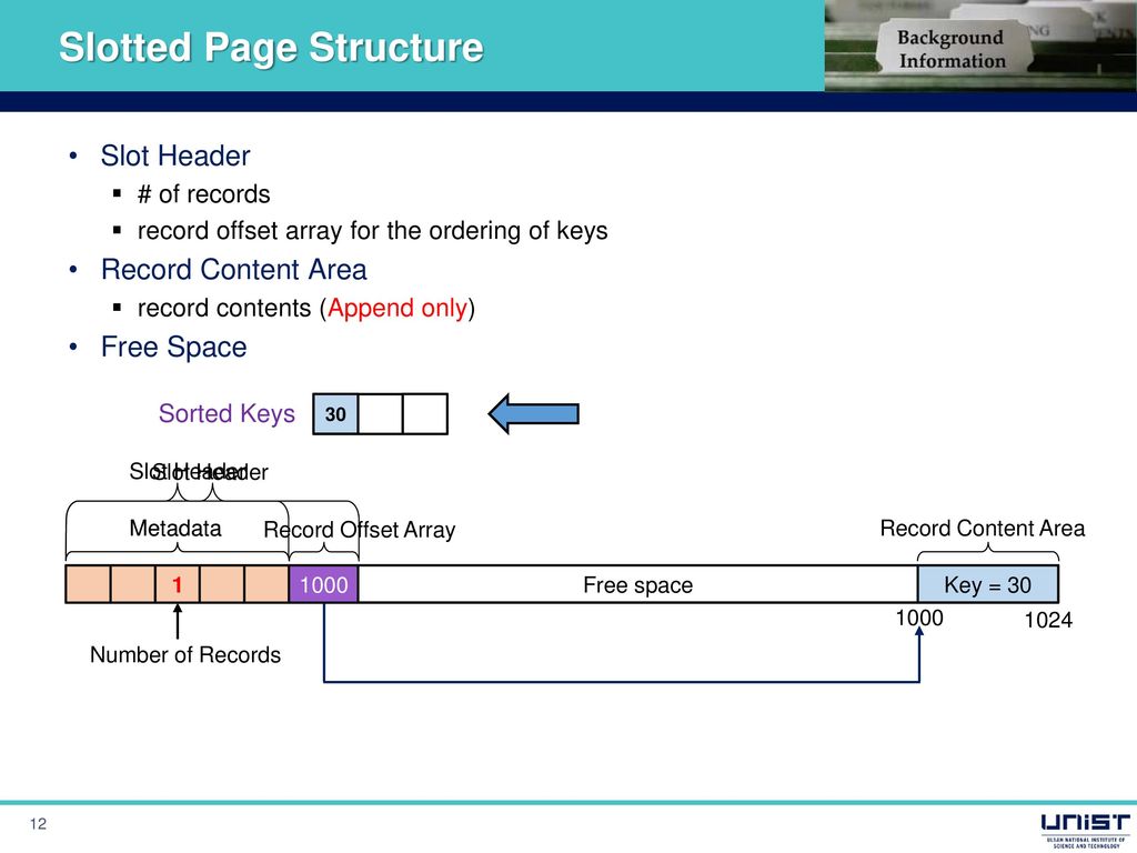 Slotted Page Structure