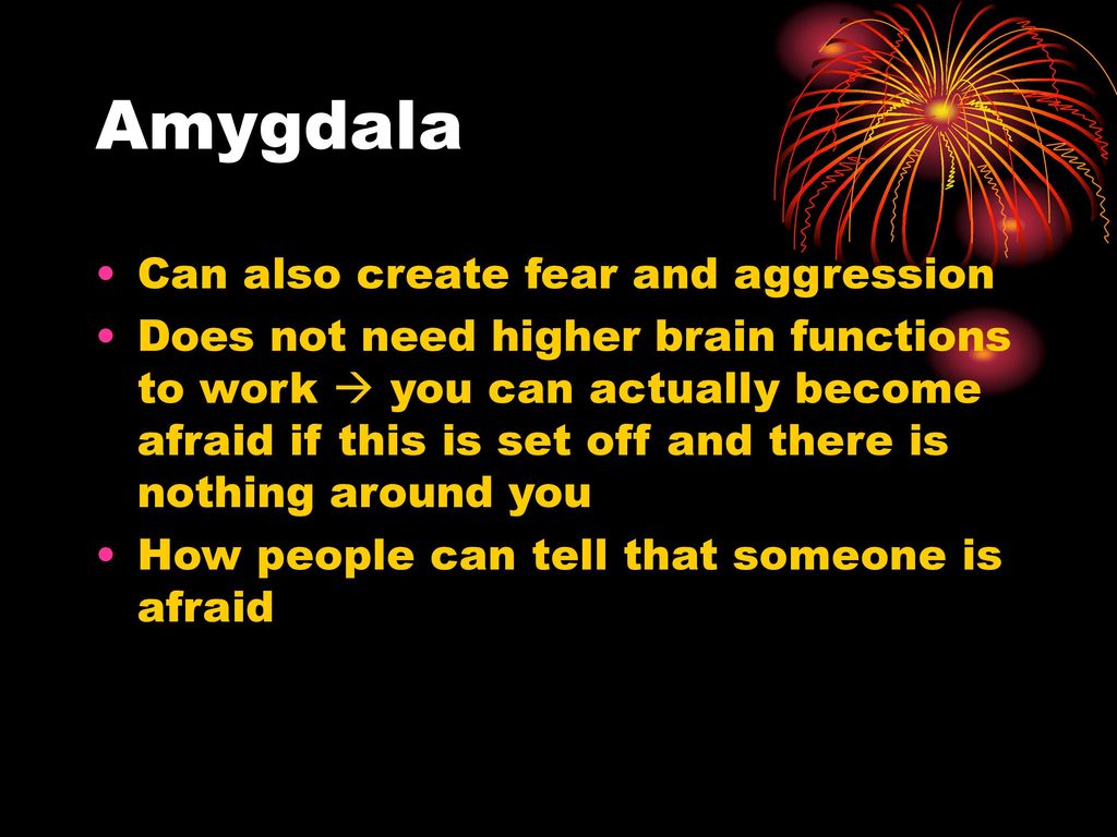 Amygdala Can also create fear and aggression