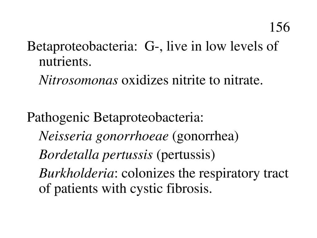 156 Betaproteobacteria: G-, live in low levels of nutrients. Nitrosomonas oxidizes nitrite to nitrate.