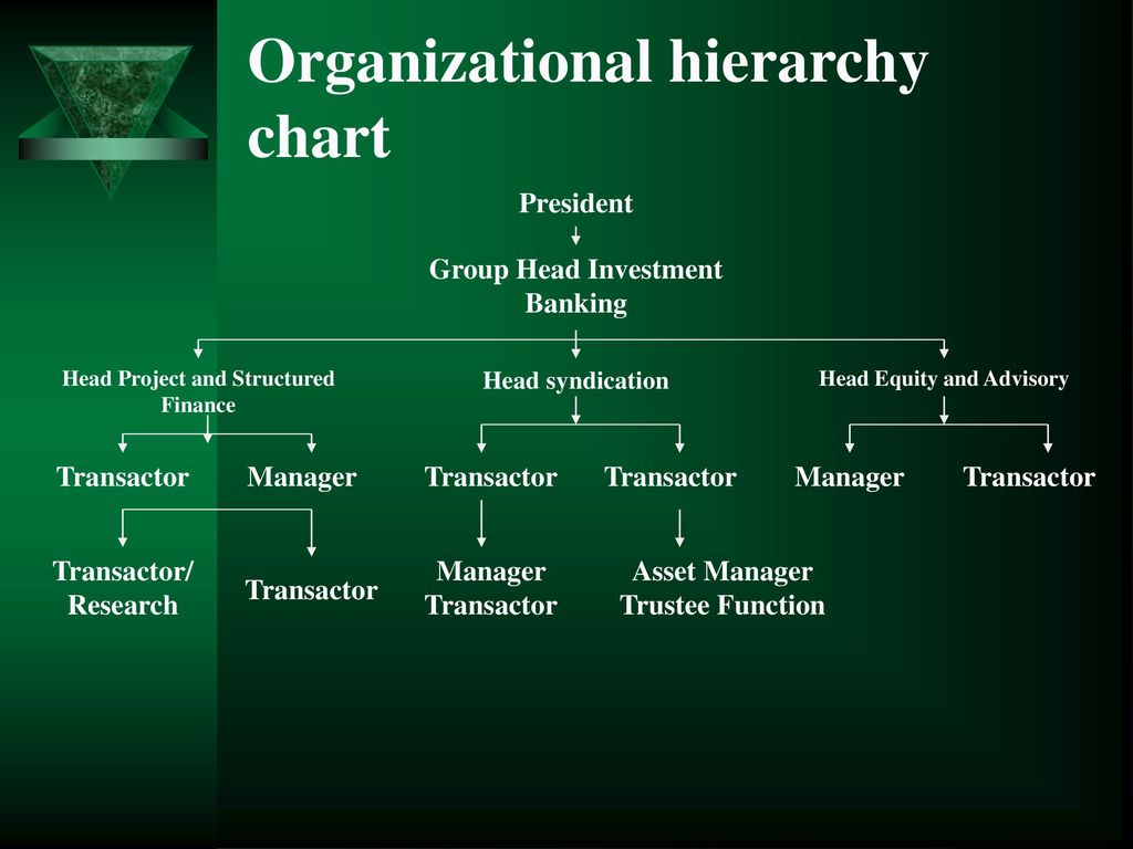 Organizational Hierarchy Chart Of Hbl