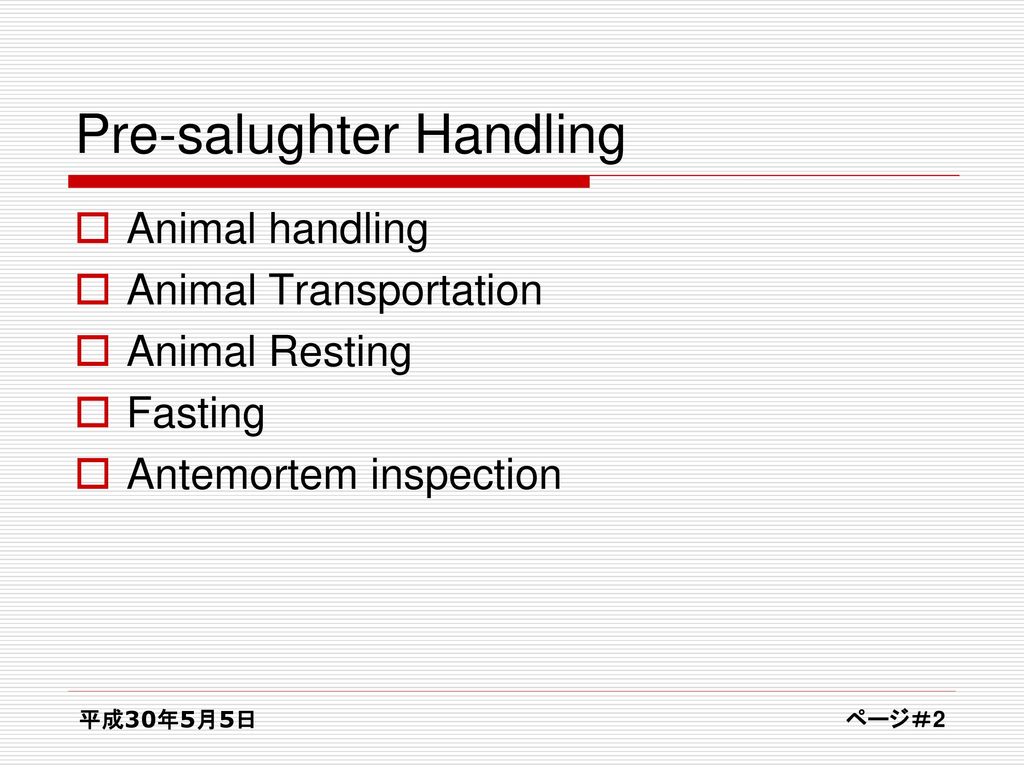 Animals Handling Before Slaughtering - ppt download